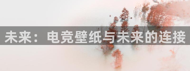 uwin电竞集团：未来：电竞壁纸与未来的连接