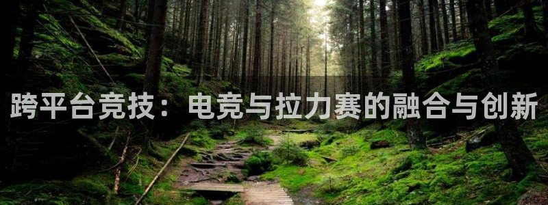 uwin电竞下载：跨平台竞技：电竞与拉力赛的融合与创新
